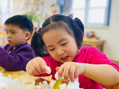 -北京梧桐树双语幼儿园