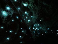 -怀托摩萤火虫洞