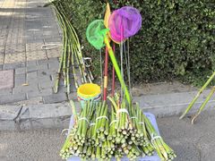 -红山国家森林公园