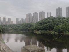 -重庆彩云湖湿地公园