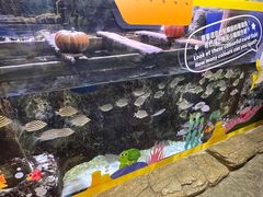 -香港海洋公园