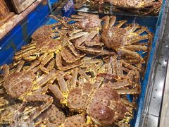 -开海·红岛海鲜虾水饺(石老人店)