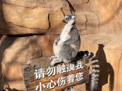 -北京野生动物园