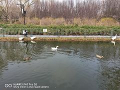 -古塔公园