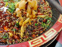 -烧哥美蛙肥肠鱼火锅·十五年社区店