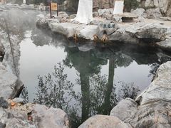 -趵突泉景区