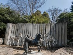 -白马涧龙池景区