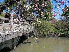 -南汇桃花村