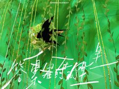 -尚音艺校(明霞路校区)