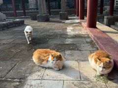 -四门塔风景区