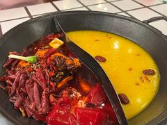 -朱光玉火锅馆(正弘城店)