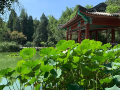 -宣武艺园