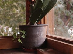 -时光花园(白鹭洲店)