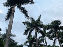 -荔香公园