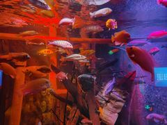 -沈阳海洋探索中心