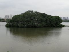 -海珠湖公园