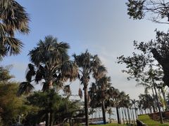 -东澳岛