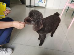 -乐琪宠物医院·犬猫专科·骨外科·急重症
