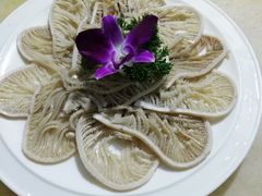 千层肚-红鼎坊·老成都火锅(新南门店)