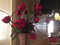 -美豪怡致酒店(上海长寿路店)