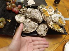 -土蚝·高压锅生蚝(百姓美食街店)