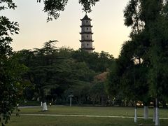 -江心屿景区