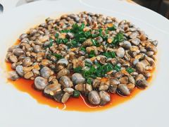 -华盛丰温州大排档(东三环南路店)