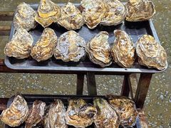 -蚝专家(北滘店)