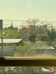 -致友月子会所(麓湖店)