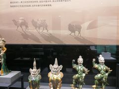 -四川大学博物馆
