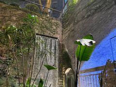-渝半城经典川粤菜(重庆天地店)