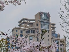 -西北湖绿化广场