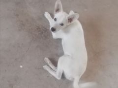 -哈尔滨北方森林动物园