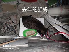 -钱万里桥小商品市场