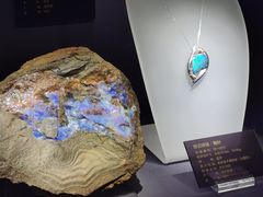 -湖南省地质博物馆