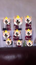 -韩慕婚纱摄影(九亭店)