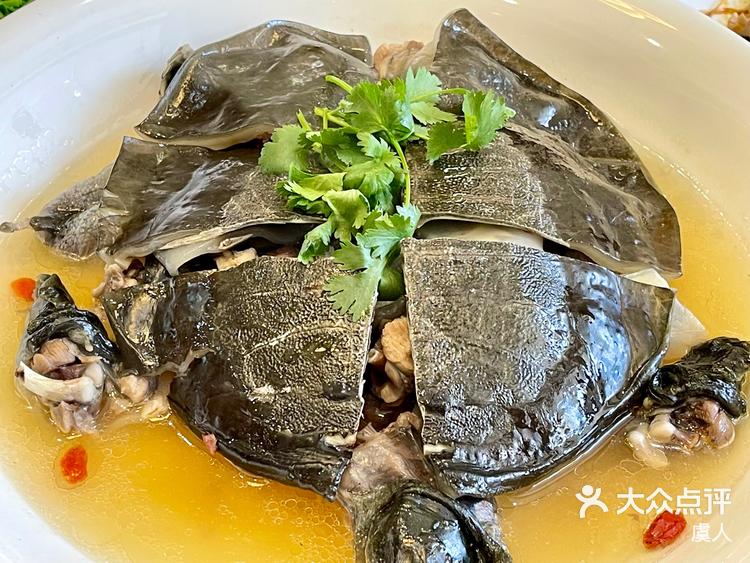菜花甲鱼-大众点评