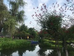 -成飞公园