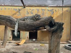 -青藏高原野生动物园