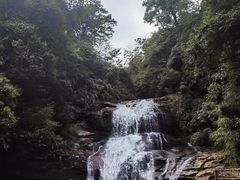 -碧峰峡风景区