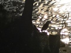 -苏州河梦清园环保主题公园