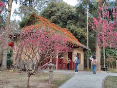 -桃花涧