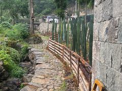 -MOJ coffee(瓯海泽雅水碓坑店)