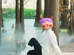 -东湖落雁景区