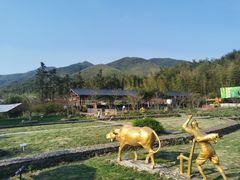 -宁波浙东大竹海景区