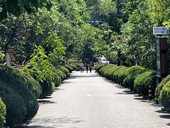 -府君山公园