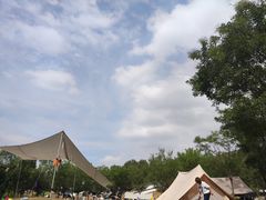 -长白岛森林公园