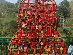 -西双版纳原始森林公园