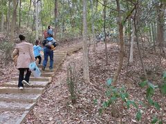 -上海佘山国家森林公园天马山园