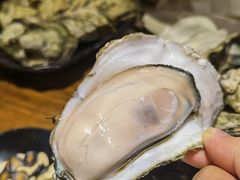 海味原只生蚝-烧蠔帮·生蚝海鲜牌档(观海店)